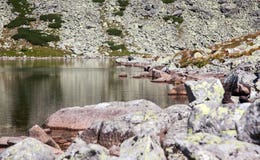 El Tarn en alto Tatras, Eslovaquia fotos de archivo libres de regalías El Tarn en alto Tatras, Eslovaquia fotos de archivo libres de regalías