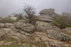 El Torcal de Antequera, rock formations. andalucia royalty free stock photography El Torcal de Antequera, rock formations. andalucia royalty free stock photography
