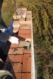 el trabajador pone el ladrillo en el mortero del cemento en el fondo de la hierba fotografía de archivo libre de regalías el trabajador pone el ladrillo en el mortero del cemento en el fondo de la hierba fotografía de archivo libre de regalías