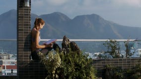 El té de las bebidas de la mujer lee el diario contra paisaje El té de las bebidas de la mujer lee el diario contra paisaje