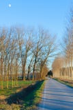 El árbol alineó el camino en la puesta del sol del campo con la luna fotos de archivo libres de regalías El árbol alineó el camino en la puesta del sol del campo con la luna fotos de archivo libres de regalías