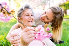 Elderly grandmother in wheelchair with granddaughter in spring nature. stock images Elderly grandmother in wheelchair with granddaughter in spring nature. stock images