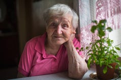 Elderly lone woman portrait in the kitchen. Royalty Free Stock Photography Elderly lone woman portrait in the kitchen. Royalty Free Stock Photography