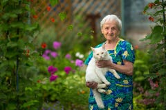 Elderly woman with a cat in hand is worth in the garden. Happy. royalty free stock photo Elderly woman with a cat in hand is worth in the garden. Happy. royalty free stock photo