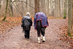 An elderly woman and a horse stock image An elderly woman and a horse stock image