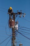 Electrician repairs a wire of the power line