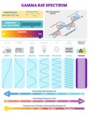 Electromagnetic Waves: Radioactive Gamma Rays Spectrum. Vector illustration diagram with wavelength, frequency and wave structure. vector illustration Electromagnetic Waves: Radioactive Gamma Rays Spectrum. Vector illustration diagram with wavelength, frequency and wave structure. vector illustration