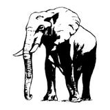 Elefant i svartvitt, diagrammet från handen royaltyfri illustrationer Elefant i svartvitt, diagrammet från handen royaltyfri illustrationer
