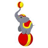 Elefante del circo en la bola Fotos de archivo Elefante del circo en la bola Fotos de archivo