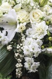Elegant bouquet in cream and white Royalty Free Stock Images Elegant bouquet in cream and white Royalty Free Stock Images