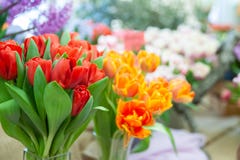Elegant Bouquets Of Red And Orange Tulips, The Theme Of Spring And Congratulations, Royalty Free Stock Photos