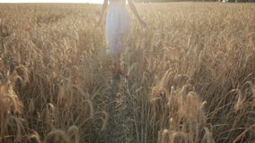 Elegante Frau, die Natur im Sonnenunterganglicht genießt stock video Elegante Frau, die Natur im Sonnenunterganglicht genießt stock video