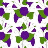 Elegante Hintergrundblaumit blumenwinde nahtlose zarte Musterblumenwinde Endlose weibliche Verzierung der Winde vektor abbildung Elegante Hintergrundblaumit blumenwinde nahtlose zarte Musterblumenwinde Endlose weibliche Verzierung der Winde vektor abbildung