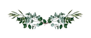 Elemento decorativo moderno de la acuarela Guirnalda verde redonda de la hoja del eucalipto, ramas del verdor, guirnalda, fronter libre illustration Elemento decorativo moderno de la acuarela Guirnalda verde redonda de la hoja del eucalipto, ramas del verdor, guirnalda, fronter libre illustration