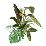 Elemento tropical del diseño de la invitación con las flores de la orquídea y las hojas de palma exóticas ilustración del vector Elemento tropical del diseño de la invitación con las flores de la orquídea y las hojas de palma exóticas ilustración del vector
