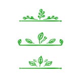 Elementos da natureza, projeto de linhas do divisor do vetor, linhas florais ilustração do vetor Elementos da natureza, projeto de linhas do divisor do vetor, linhas florais ilustração do vetor