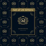 Elementos do projeto do monograma, molde gracioso Grupo de emblema das letras Linha elegante caligráfica projeto do logotipo da a ilustração royalty free Elementos do projeto do monograma, molde gracioso Grupo de emblema das letras Linha elegante caligráfica projeto do logotipo da a ilustração royalty free