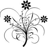 Elementos florais para o projeto, ilustração do vetor Elementos florais para o projeto, ilustração do vetor