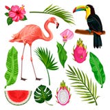Elementos tropicales del diseño del verano en el fondo blanco Ejemplo del vector del tucán, flamenco, hojas de palma, fruta del d ilustración del vector Elementos tropicales del diseño del verano en el fondo blanco Ejemplo del vector del tucán, flamenco, hojas de palma, fruta del d ilustración del vector