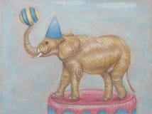 Elephant in the circus Stock Image