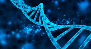 Elica del DNA illustrazione vettoriale Elica del DNA illustrazione vettoriale