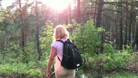 Ella viaja a través del bosque en la puesta del sol almacen de metraje de vídeo Ella viaja a través del bosque en la puesta del sol almacen de metraje de vídeo