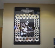 Elvis Presley Gold Records royaltyfri foto Elvis Presley Gold Records royaltyfri foto
