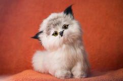 Em um escuro - o fundo alaranjado senta um gatinho do brinquedo foto de stock Em um escuro - o fundo alaranjado senta um gatinho do brinquedo foto de stock
