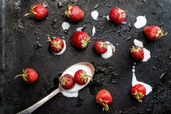 em um fundo molhado escuro derramou uma colher de iogurte e de s Foto de Stock em um fundo molhado escuro derramou uma colher de iogurte e de s Foto de Stock