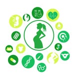 Embarazo e iconos recién nacidos del bebé fijados Iconos del vector de la medicina y del embarazo fijados Parto y maternidad Info stock de ilustración Embarazo e iconos recién nacidos del bebé fijados Iconos del vector de la medicina y del embarazo fijados Parto y maternidad Info stock de ilustración