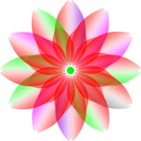 Embleem colourfull ontwerp, transparantiebloem colourfull bloesembloem vector illustratie Embleem colourfull ontwerp, transparantiebloem colourfull bloesembloem vector illustratie