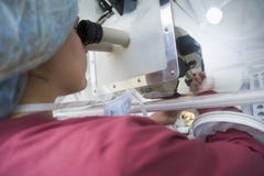 Embryologist adding sperm to egg royalty free stock photo Embryologist adding sperm to egg royalty free stock photo