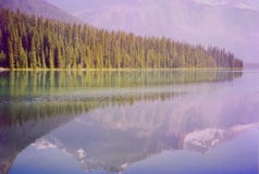 Emerald Lake royalty free stock image Emerald Lake royalty free stock image