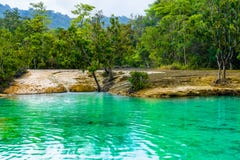 Emerald Pool alias Sa Morakot, Knall Khao Pra Khram-Naturschutzgebiet, Krabi, Thailand Grüne Farbtropischer See, Südostasien lizenzfreies stockfoto Emerald Pool alias Sa Morakot, Knall Khao Pra Khram-Naturschutzgebiet, Krabi, Thailand Grüne Farbtropischer See, Südostasien lizenzfreies stockfoto