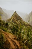 Emigrando la ruta 202 a lo largo de la vegetación de la caña de azúcar que va a través del valle de Xo-Xo a Ribeira grande Santo fotografía de archivo libre de regalías Emigrando la ruta 202 a lo largo de la vegetación de la caña de azúcar que va a través del valle de Xo-Xo a Ribeira grande Santo fotografía de archivo libre de regalías