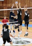 EMPAREJAMIENTO DEL VOLEIBOL