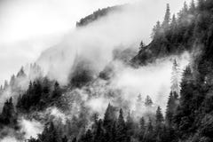 Empañe el recubrimiento de los bosques de la montaña con la nube baja en Juneau Alaska para el paisaje de la niebla Foto de archivo Empañe el recubrimiento de los bosques de la montaña con la nube baja en Juneau Alaska para el paisaje de la niebla Foto de archivo