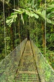 Empty hanging metal bridge in tropical forest stock images Empty hanging metal bridge in tropical forest stock images