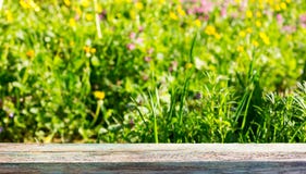 Empty wooden board on a background of meadows with flowering herbs in the summer sunny day stock photos Empty wooden board on a background of meadows with flowering herbs in the summer sunny day stock photos
