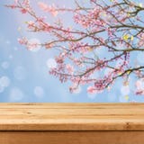 Empty wooden deck table over blurred bokeh spring tree background for product montage Stock Image Empty wooden deck table over blurred bokeh spring tree background for product montage Stock Image