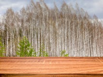 Empty wooden table with blurred spring background of birch trees. Can be used for display or montage product royalty free stock photos Empty wooden table with blurred spring background of birch trees. Can be used for display or montage product royalty free stock photos