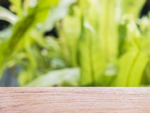 Empty wooden table with defocus of green leaf background stock photo Empty wooden table with defocus of green leaf background stock photo
