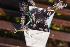 En bukett av doftande delikat blommande lavendel i en pappers- packe på en träbänk i Paris i Frankrike på en naturlig bakgrund fotografering för bildbyråer En bukett av doftande delikat blommande lavendel i en pappers- packe på en träbänk i Paris i Frankrike på en naturlig bakgrund fotografering för bildbyråer