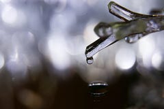 En droppe av vatten på istappen, makro royaltyfri foto En droppe av vatten på istappen, makro royaltyfri foto