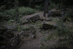 En dyster skogbana bland dolda stenblock för mossa arkivfoton En dyster skogbana bland dolda stenblock för mossa arkivfoton