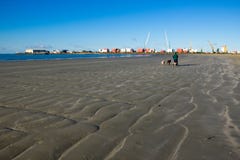 En grabb som går med 2 hundkapplöpning på stranden arkivbilder En grabb som går med 2 hundkapplöpning på stranden arkivbilder