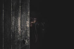 En halv framsidabehide för kvinnor dörren i begrepp för abandonathusallhelgonaafton royaltyfri bild En halv framsidabehide för kvinnor dörren i begrepp för abandonathusallhelgonaafton royaltyfri bild