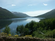 en ho för escondidolagotree royaltyfri bild en ho för escondidolagotree royaltyfri bild