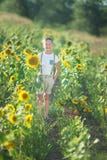 En le pojke med en korg av solrosor Le pojke med solrosen En gullig le pojke i ett fält av solrosor fotografering för bildbyråer En le pojke med en korg av solrosor Le pojke med solrosen En gullig le pojke i ett fält av solrosor fotografering för bildbyråer