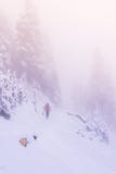 En man i snöskog med dimma i mt Rainier National parkerar, Washin fotografering för bildbyråer En man i snöskog med dimma i mt Rainier National parkerar, Washin fotografering för bildbyråer